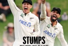 Photo of डेब्यू मैच में मिच हे का कमाल, न्यूजीलैंड को मिली मजबूत बढ़त