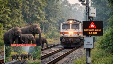 Photo of वन्यजीव संरक्षण के लिए भारतीय रेल ने एआई आधारित प्रणाली को किया मजबूत