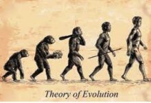 Photo of स्कूल पाठ्यक्रम में अभी भी शामिल है डार्विन का विकासवाद का सिद्धांत : प्रधान