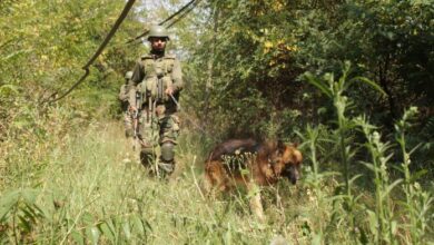 Photo of पुंछ और किश्तवाड़ जिलों के सीमावर्ती क्षेत्रों और पहाड़ी भीतरी इलाकों में सुरक्षा बलो ने चलाया तलाशी अभियान