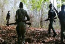 Photo of मप्र के बालाघाट जिेले में सुरक्षा बलों से मुठभेड़ के बाद भागे नक्सली, विस्फोटक आदि बरामद