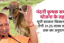 Photo of समृद्धि की राह दिखा रही योगी सरकार की नंदिनी कृषक समृद्धि योजना