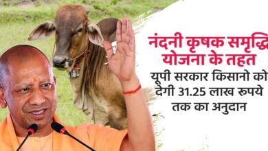 Photo of समृद्धि की राह दिखा रही योगी सरकार की नंदिनी कृषक समृद्धि योजना