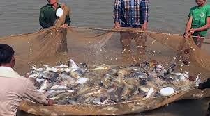 Photo of केन्द्र सरकार बुधवार को मत्स्य पालन गोलमेज सम्मेलन का करेगी आयोजन