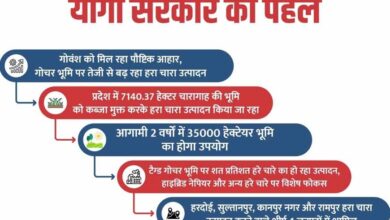 Photo of योगी सरकार की संवेदनशील पहल: गोवंश को मिल रहा पौष्टिक आहार, गोचर भूमि पर तेजी से बढ़ रहा हरा चारा उत्पादन