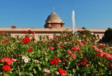 Photo of राष्ट्रपति भवन का अमृत उद्यान तीन फरवरी से खुलेगा आम जनता के लिए
