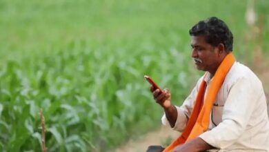 Photo of उत्तर प्रदेश ने केन्द्र सरकार को भेजी खरीफ फसलों के न्यूनतम समर्थन मूल्य की संस्तुति