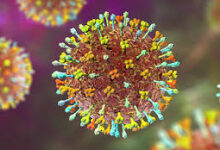 Photo of पश्चिम बंगाल में दितंबर से अबतक निपाह के सिर्फ 2 मामले, स्थिति पूरी तरह नियंत्रण में : एनसीडीसी