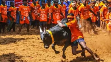 Photo of पोंगल उत्सव: मदुरै में जल्लीकट्टू प्रतियोगिता की जोरदार तैयारी, मुख्यमंत्री स्टालिन भी होंगे शामिल