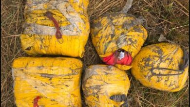 Photo of भारत-पाकिस्तान सीमा से करीब 100 करोड़ की हेरोइन बरामद, चार सौदागर गिरफ्तार