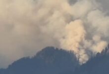 Photo of ‘फूलों की घाटी’ की ऊंची चोटियों पर चार दिन से आग का तांडव, सेना की मदद के लिए सरकार को लिखा पत्र