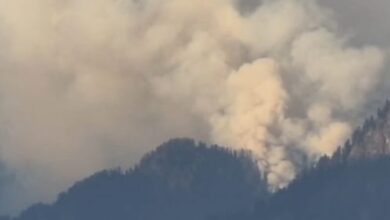 Photo of ‘फूलों की घाटी’ की ऊंची चोटियों पर चार दिन से आग का तांडव, सेना की मदद के लिए सरकार को लिखा पत्र