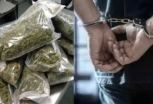 Photo of नोएडा में चार गांजा तस्कर गिरफ्तार