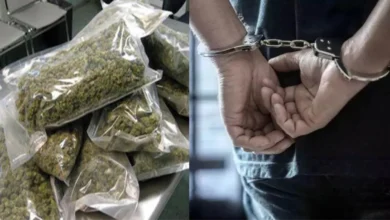 Photo of नोएडा में चार गांजा तस्कर गिरफ्तार