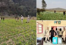 Photo of मणिपुर में 35 एकड़ अफीम की खेती नष्ट, 16 किलाे गांजा संग तीन तस्कर गिरफ्तार