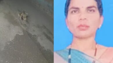 Photo of शरीर पर नहीं था एक भी कपड़ा.. पुल के नीचे पड़ा था महिला का नग्न शव, रेप के बाद हत्या की आशंका; फिर सामने आया ये सच!