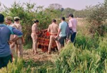 Photo of 11 साल की बच्ची के साथ दरिंदगी, पड़ोसी ने दुष्कर्म के बाद की हत्या, शव को खेत मे गाड़ा