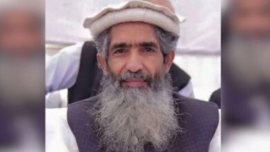 Photo of लश्कर-ए-तैयबा के सह-संस्थापक अमीर हमजा पर अज्ञात हमलावरों ने की फायरिंग, हालत बेहद नाजुक