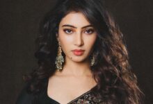 Photo of सारा अर्जुन फिल्मी पर्दे पर बनेंगी मधुबाला