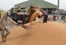 Photo of सरकार ने 2025–26 के गेहूं उत्पादन परिदृश्य को स्पष्ट किया 