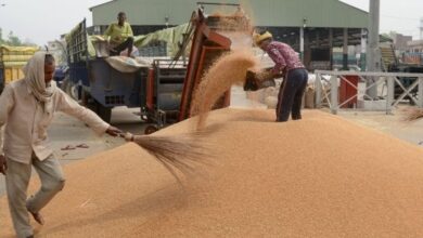 Photo of सरकार ने 2025–26 के गेहूं उत्पादन परिदृश्य को स्पष्ट किया 