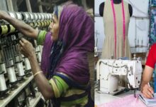 Photo of मप्र में महिला उद्यमिता को मिला बढ़ावा, एमएसएमई में 17 फीसद इकाइयों को महिलाएं कर रहीं संचालित