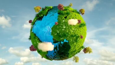 Photo of तमिलनाडु और मेघालय में जैव विविधता प्रबंधन के लिए पंचवर्षीय परियोजना की हुई शुरूआत 