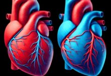 Photo of दिल कहे ‘हां’, दिमाग कहे ‘ना’-किसकी माने?