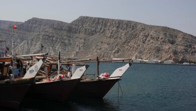 Photo of होर्मुज जलडमरूमध्य में खुद ही बिछाए बारूदी सुरंगों को नही खोज पा रहा ईरान 