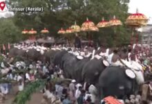 Photo of त्रिशूर पूरम से पहले केरल के त्रिशूर में एक पटाखा फैक्ट्री में विस्फोट, कई लोग घायल :