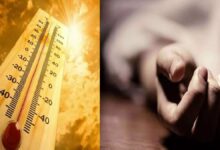 Photo of अप्रैल में हीट स्ट्रोक के 32 नए मरीज, एक की संदिग्ध मौत