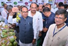 Photo of यूपी बनेगा प्रीमियम फल उत्पादन और निर्यात का बड़ा हब