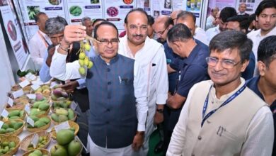 Photo of यूपी बनेगा प्रीमियम फल उत्पादन और निर्यात का बड़ा हब