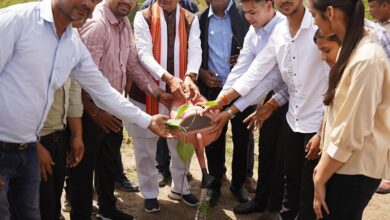 Photo of प्रतिदिन पौधरोपण का संकल्प अब बन रहा जन-जन का अभियान: शिवराज सिंह चौहान