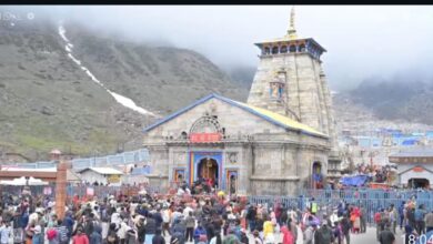 Photo of चारधाम यात्रा मार्गों पर घोड़ा-खच्चरों के संचालन के लिए नई एसओपी लागू, क्षमता और निगरानी तय