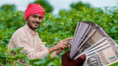 Photo of किसानों के लिए आज शाम आ सकती है सबसे बड़ी खुशखबरी: पीएम मोदी की अहम कैबिनेट बैठक में नई एमएसपी (MSP) योजना पर लग सकती है मुहर