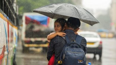 Photo of देश के कई राज्यों में मॉनसून की धमाकेदार दस्तक : उत्तर भारत में आंधी-बारिश का अलर्ट, जानें आपके शहर में कब होगी झमाझम बरसात