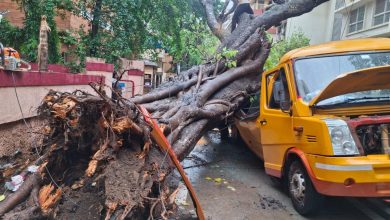 Photo of चेंबूर में स्कूल बस पर गिरा भारी-भरकम पेड़, 1 मासूम की मौत, 10 बच्चे घायल; BMC की बड़ी लापरवाही आई सामने