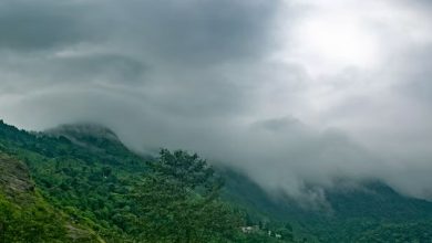 Photo of देश के पूर्वोत्तर व पश्चिमोत्तर क्षेत्र में अगले 5 दिनों तक मानसून सक्रिय रहने के आसार