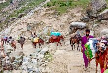Photo of अमरनाथ यात्रा: जम्मू में रजिस्ट्रेशन और आरएफआईडी प्रक्रिया शुरू
