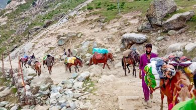 Photo of अमरनाथ यात्रा: जम्मू में रजिस्ट्रेशन और आरएफआईडी प्रक्रिया शुरू
