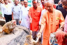 Photo of योगी आदित्यनाथ ने की कामदगिरि पर्वत की परिक्रमा, मांगा जनकल्याण का आशीर्वाद
