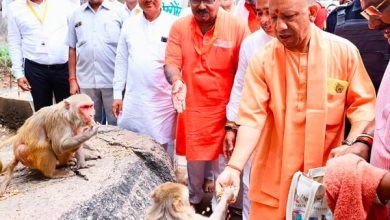 Photo of योगी आदित्यनाथ ने की कामदगिरि पर्वत की परिक्रमा, मांगा जनकल्याण का आशीर्वाद