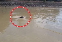 Photo of हरिद्वार हादसा: गंगनहर में डूबे चंडीगढ़ के 4 नाबालिग कांवड़ यात्री, स्नान के दौरान गई जान